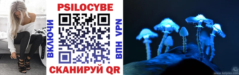 Псилоцибиновые грибы мухоморы  Купить закладки  Аркадак 
